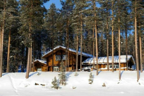 Lyxigt timmerhus i fjällen, Lofsdalen, Hjortehytta